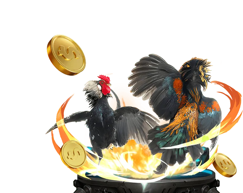 Hai chú gà chọi đang thi đấu trên sàn, biểu tượng cá cược đá gà tại 5tt88