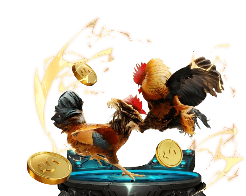 Ưu đãi và khuyến mãi 5tt88